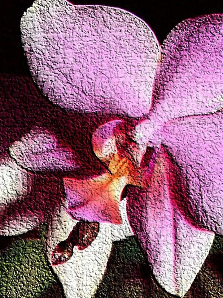 Purple Chirsmas Orchid iPhone Case