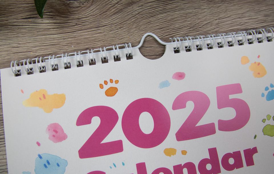 2025 Wall Calendar with Cute Cats