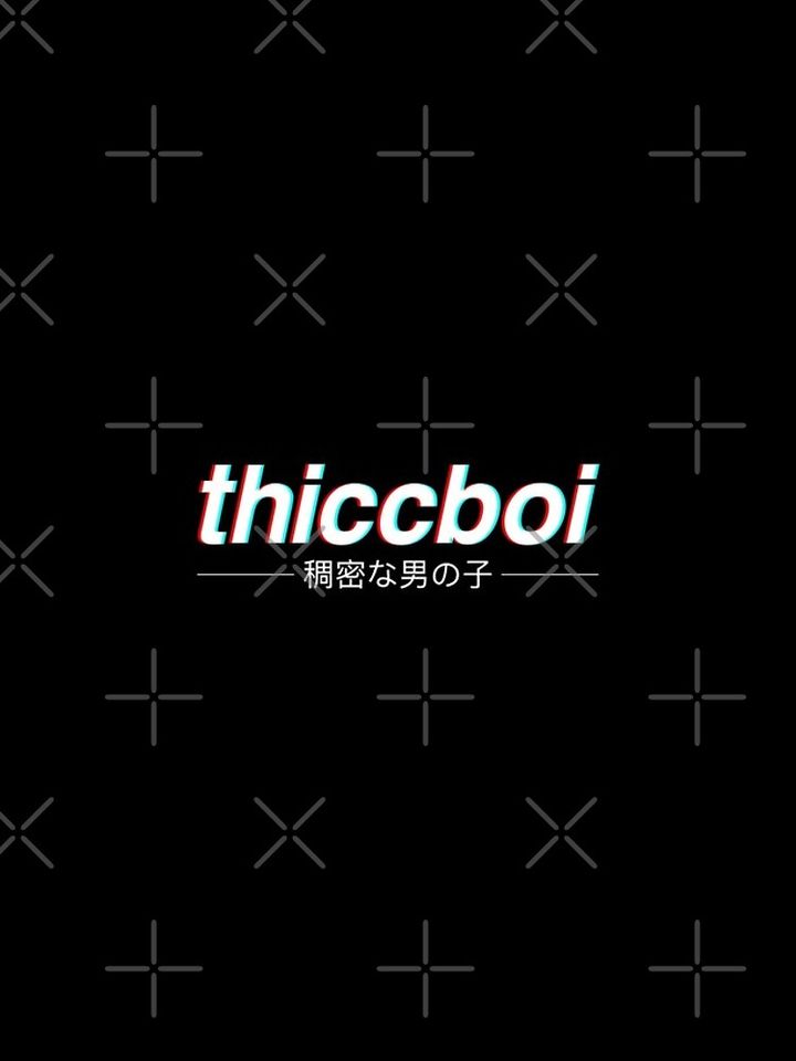 Aesthetic Japanese "Thicc Boi" Logo iPhone Case