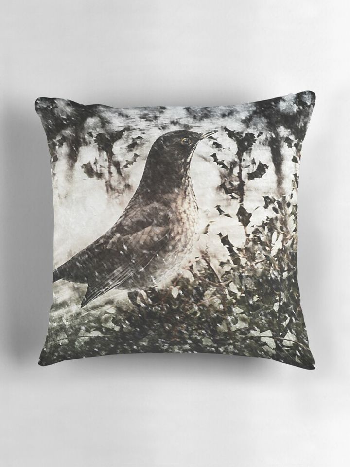 Chrismas Wishes to all at RB Pillow