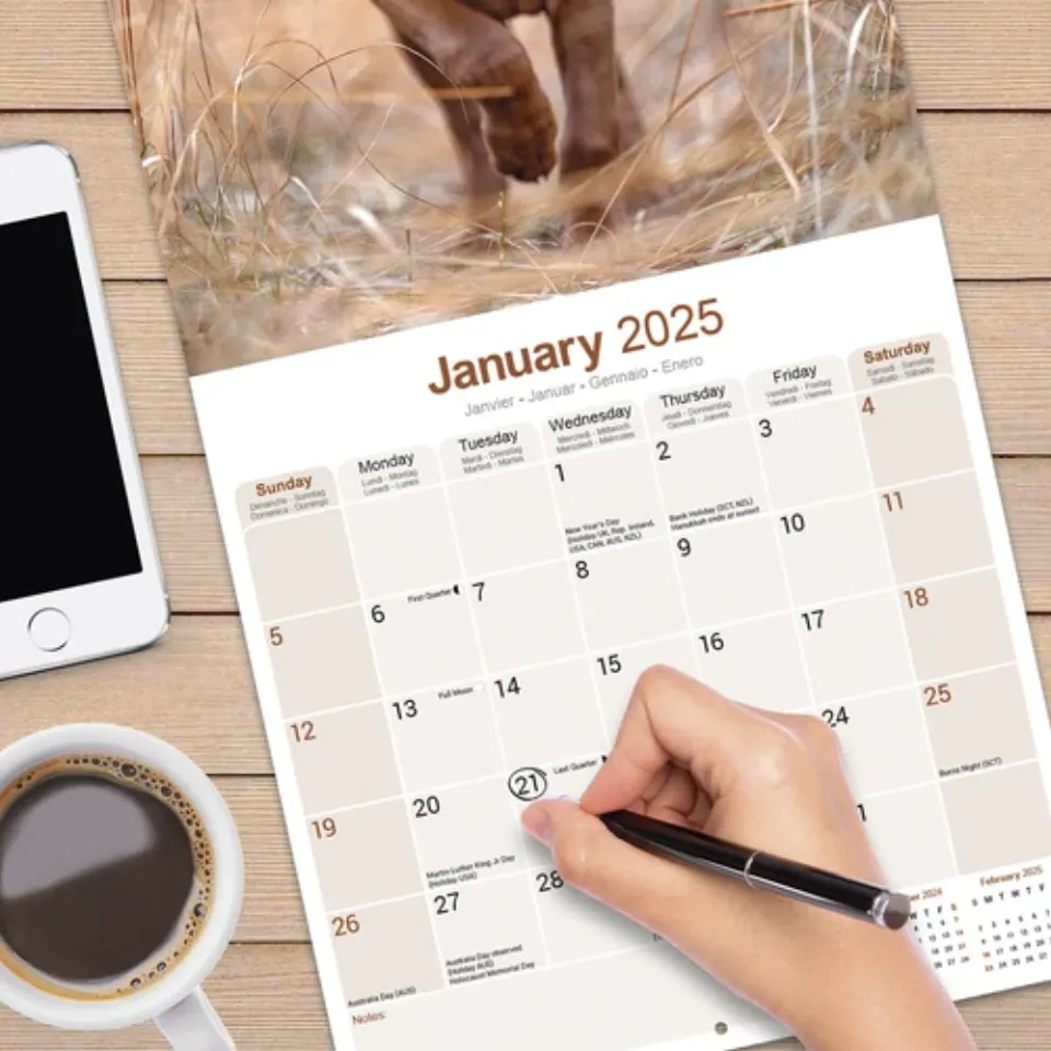 Vizsla Calendar 2025 Dog Breed Gift Wall Calendar 15% OFF MULTI ORDERS!
