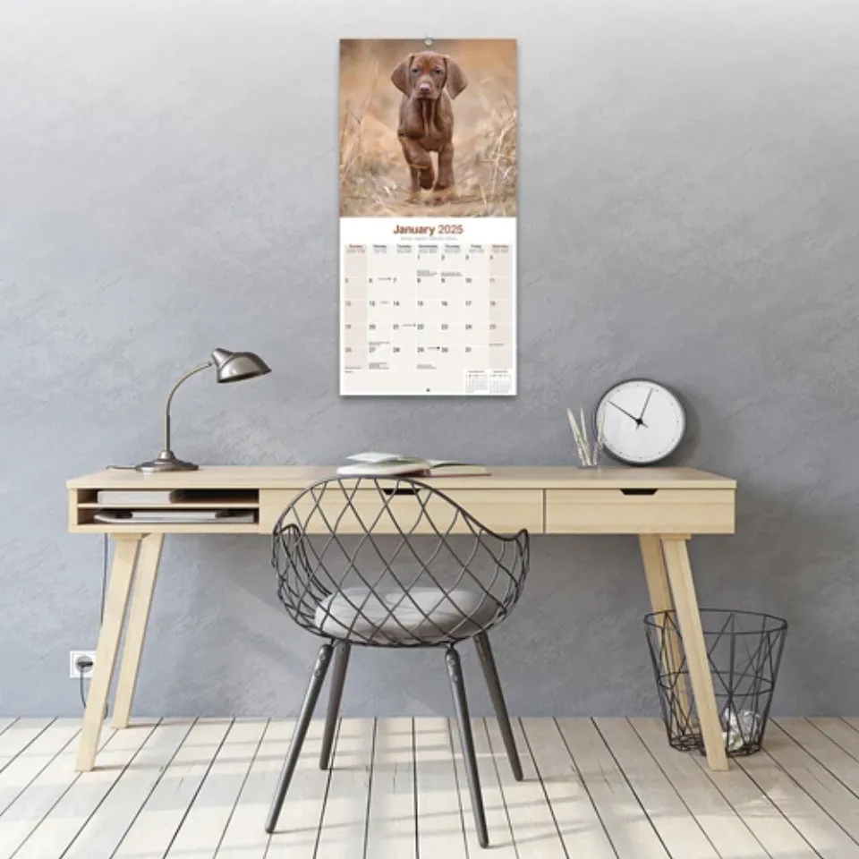 Vizsla Calendar 2025 Dog Breed Gift Wall Calendar 15% OFF MULTI ORDERS!