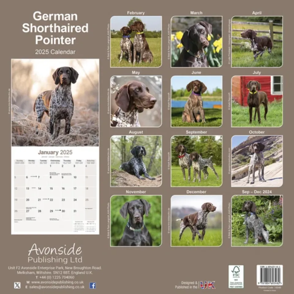 German Shorthaired Pointer Calendar 2025 Dog Gift Wall 15% OFF MULTI ORDERS!