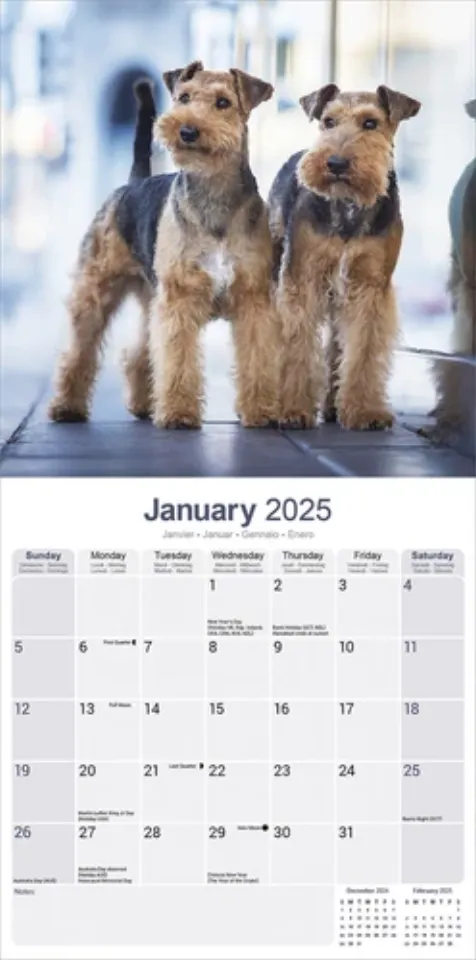 Welsh Terrier Calendar 2025 Dog Breed Gift Wall Calendar 15% OFF MULTI ORDERS!