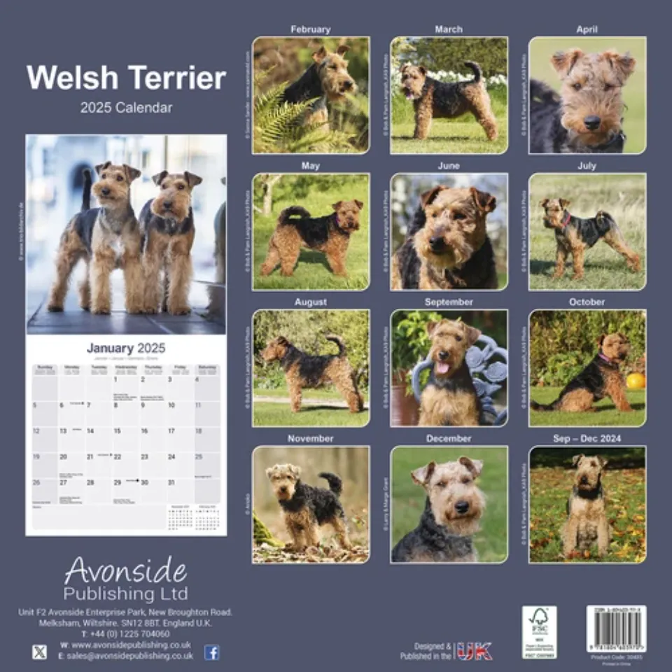 Welsh Terrier Calendar 2025 Dog Breed Gift Wall Calendar 15% OFF MULTI ORDERS!