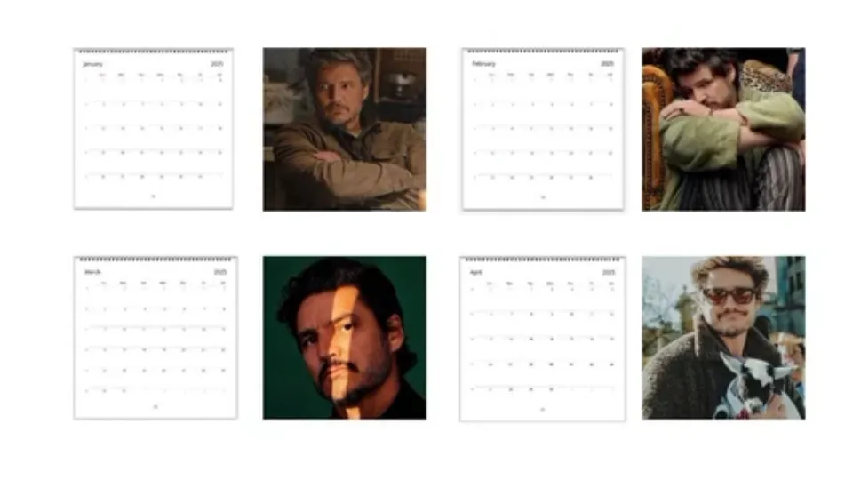 Pedro Pascal 2025 Wall Calendar,  2025 Calendar Wall, Celebrity Wall Decor Gifts