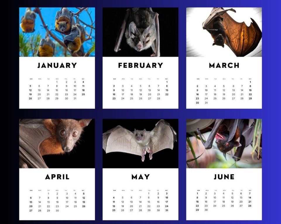 Bats 2025 Calendar