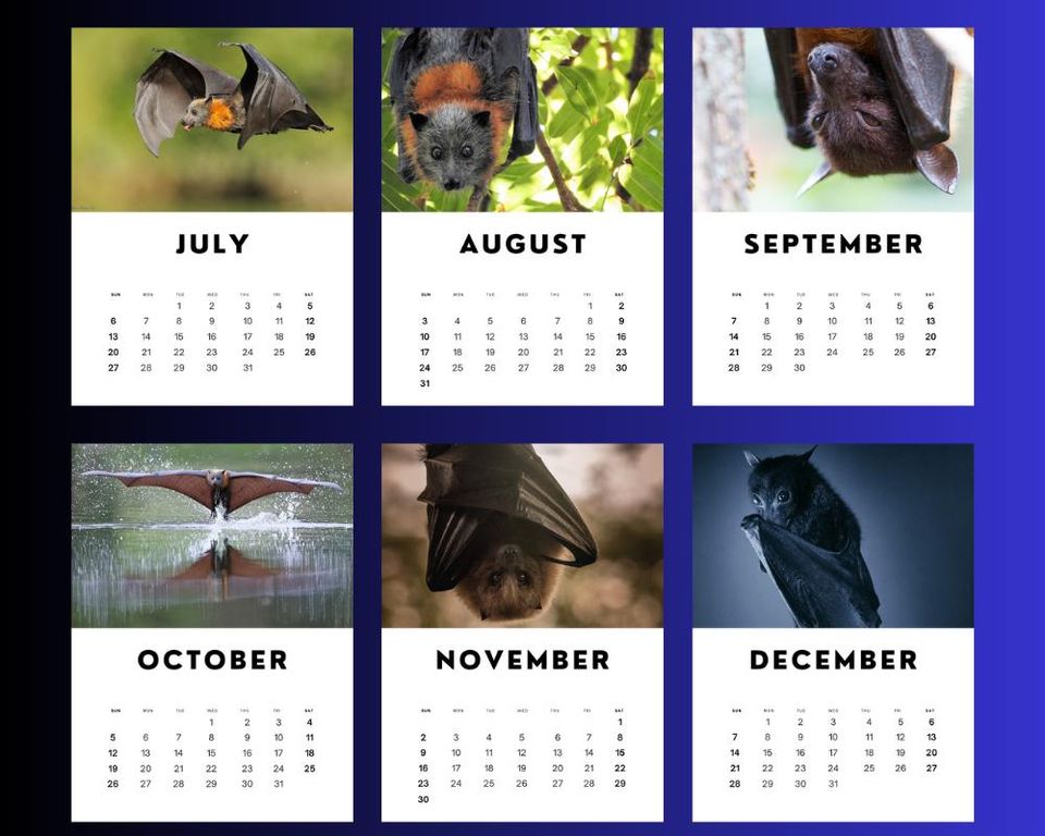 Bats 2025 Calendar
