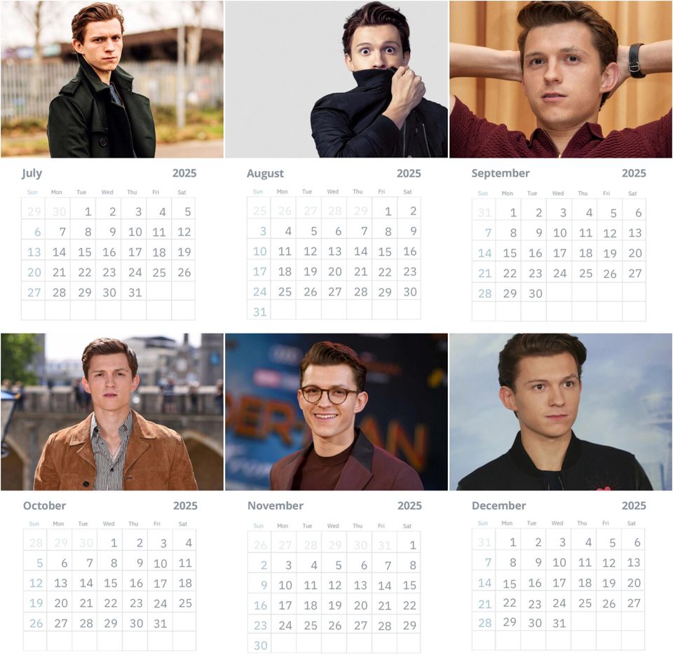 Tom Holland Wall Calendar 2025