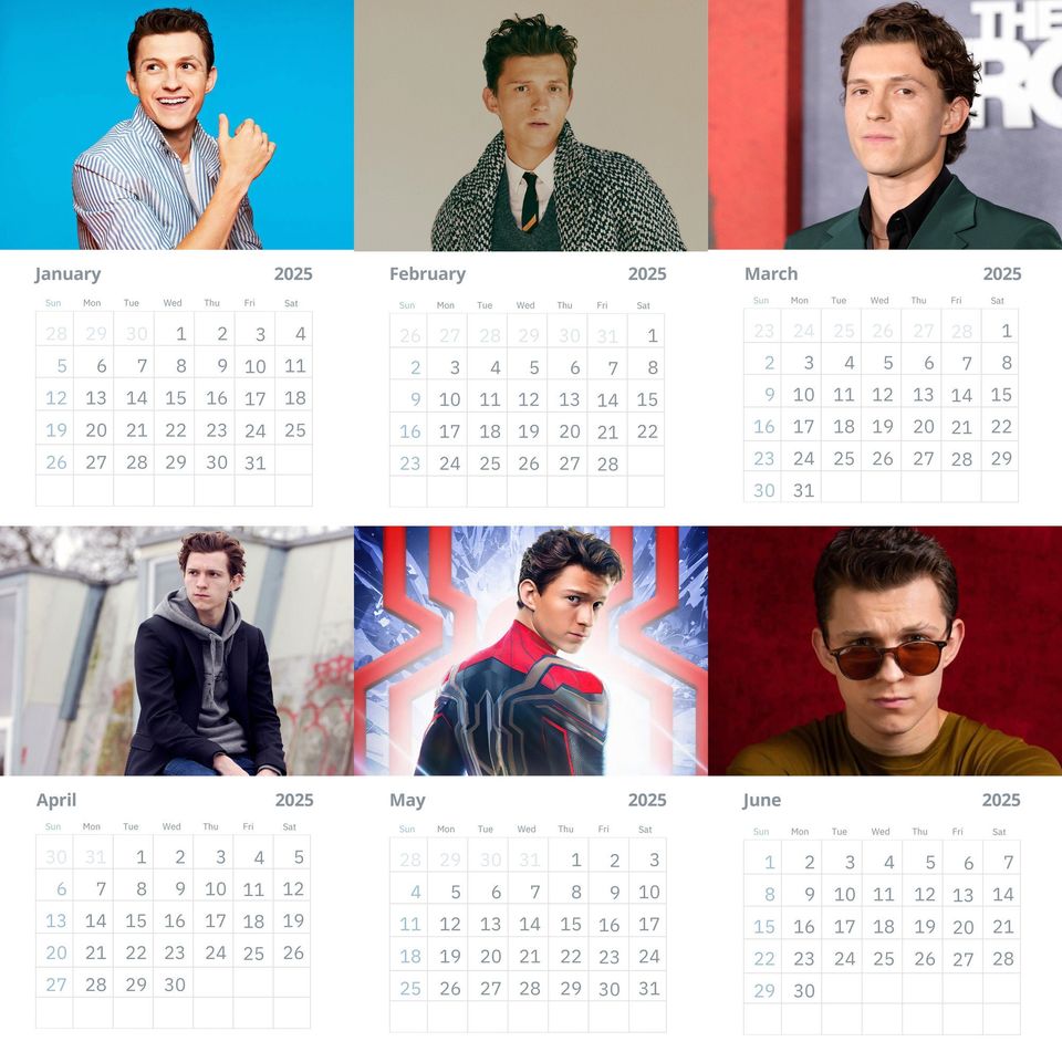 Tom Holland Wall Calendars 2025