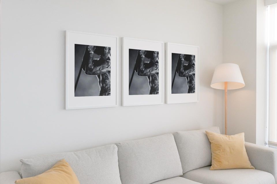 Post Malone Muse Tour Poster