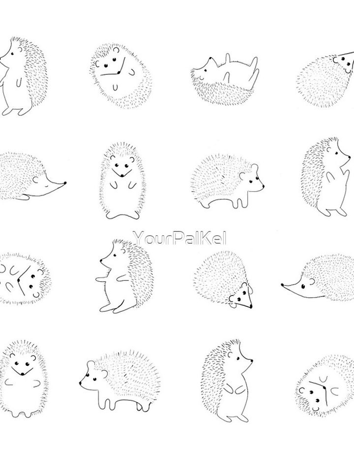 Hedgehog  iPhone Case