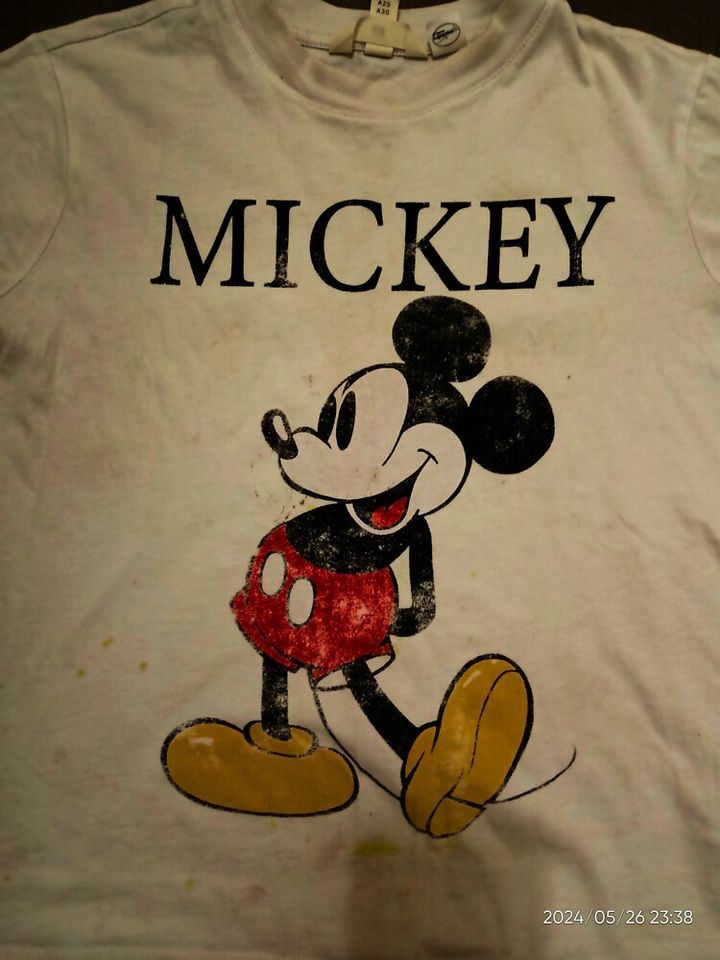 Mickey  Lightweight Hoodie