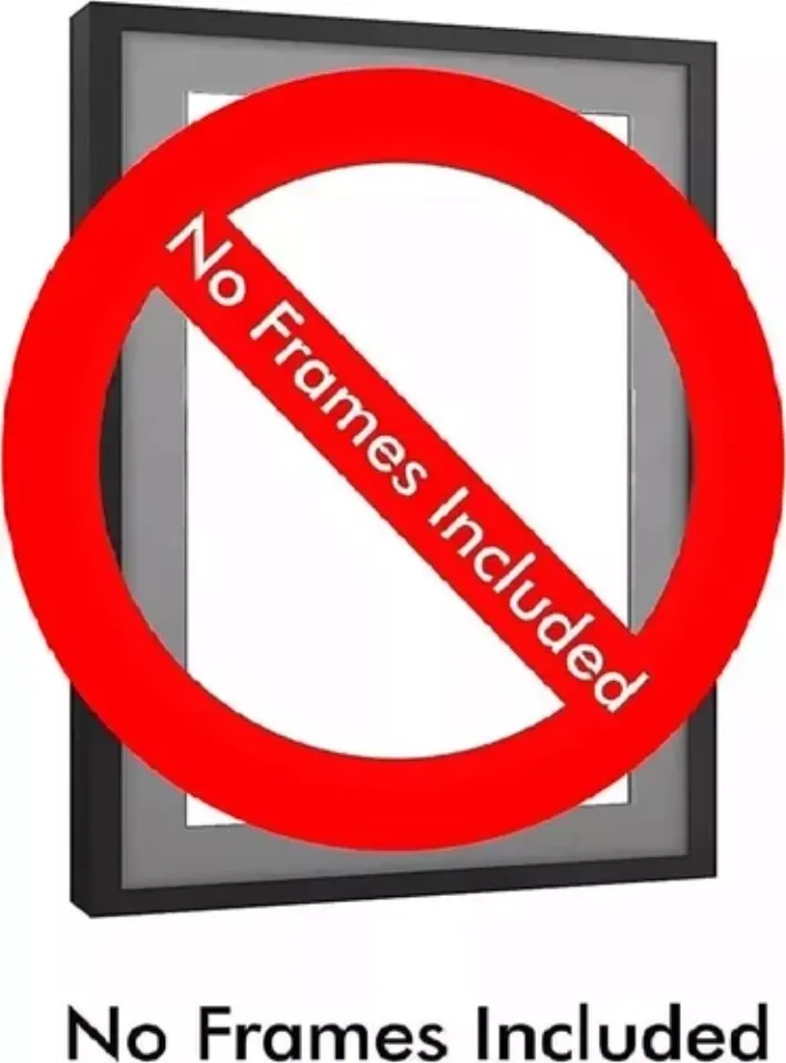 Dave Matthews Band Spring 2025 Tour Dates Home Decor Poster