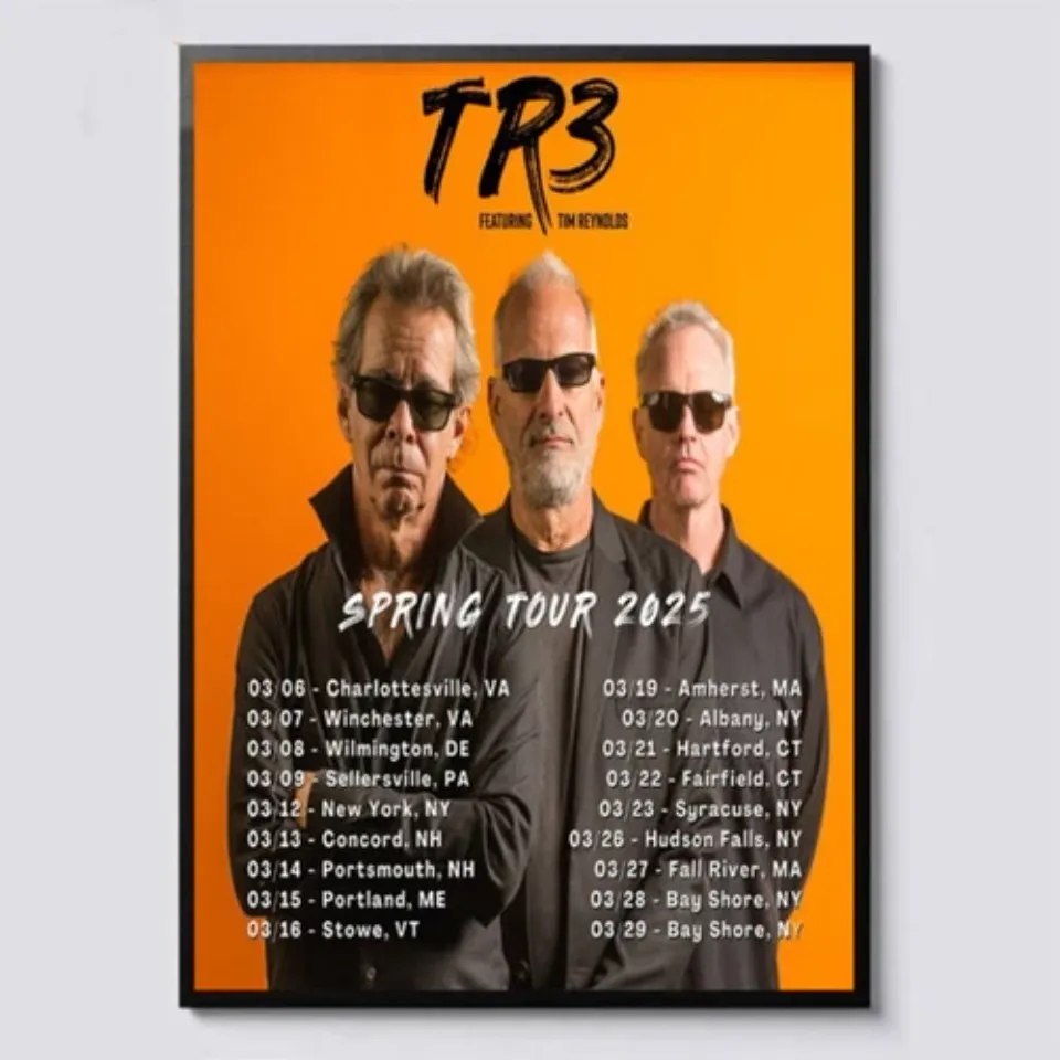 Dave Matthews Band Spring 2025 Tour Dates Home Decor Poster