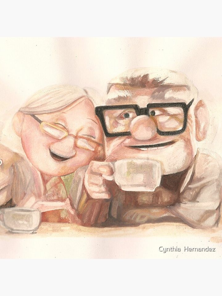 Up Movie - Carl and Ellie Pillow