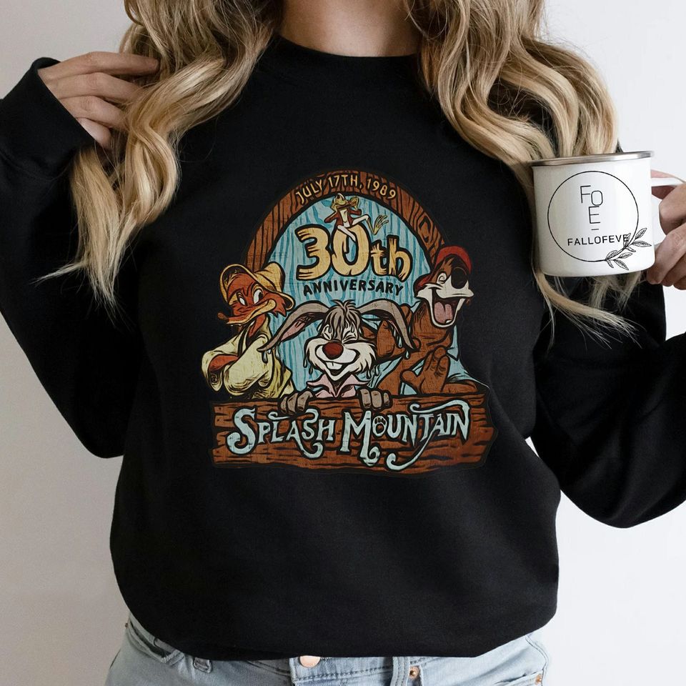 Disney Splash Mountain, Disney Mountain Sweatshirt, Disney Sweatshirt
