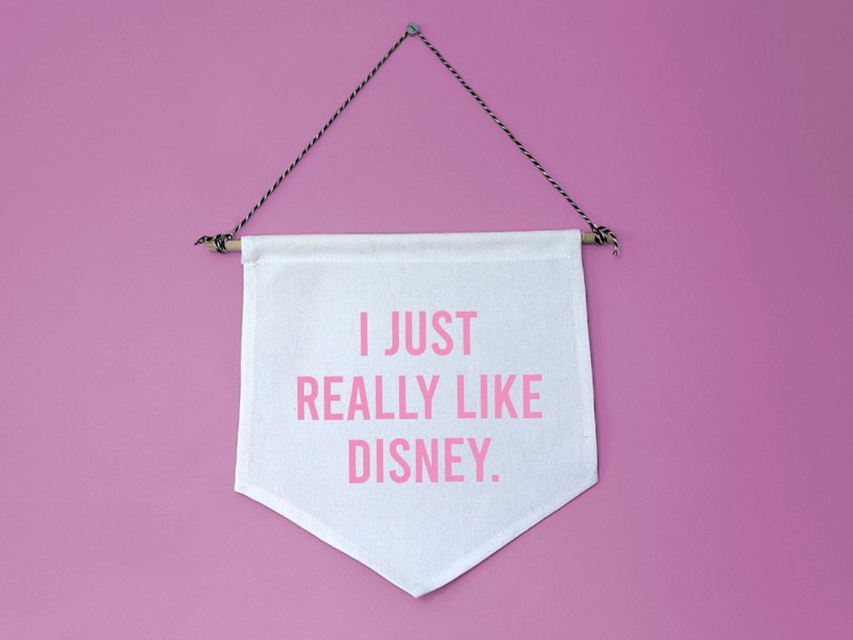 I just really like Disney Pennant Flag
