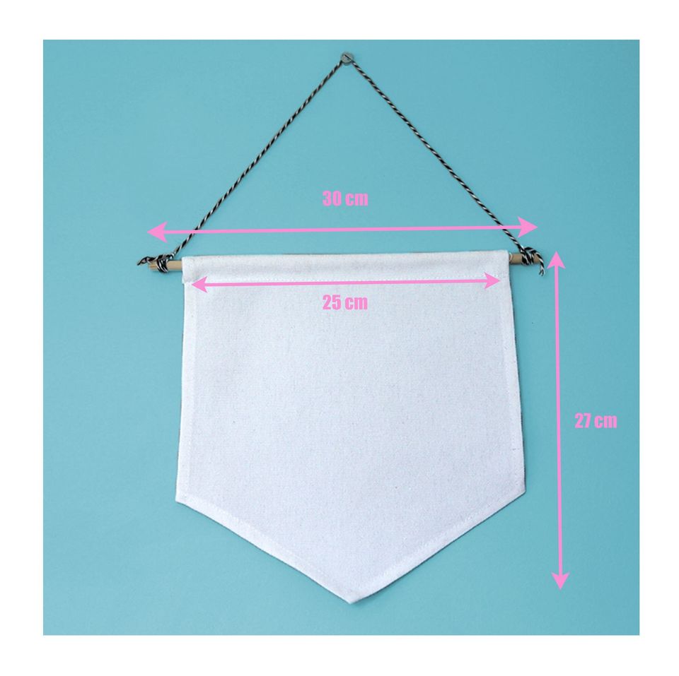 I just really like Disney Pennant Flag