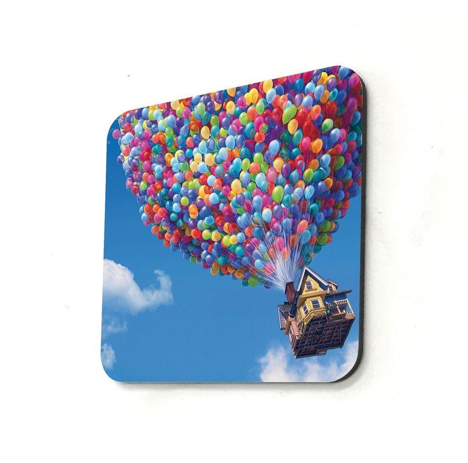 Disney Up, Adventure is Out There Coasters