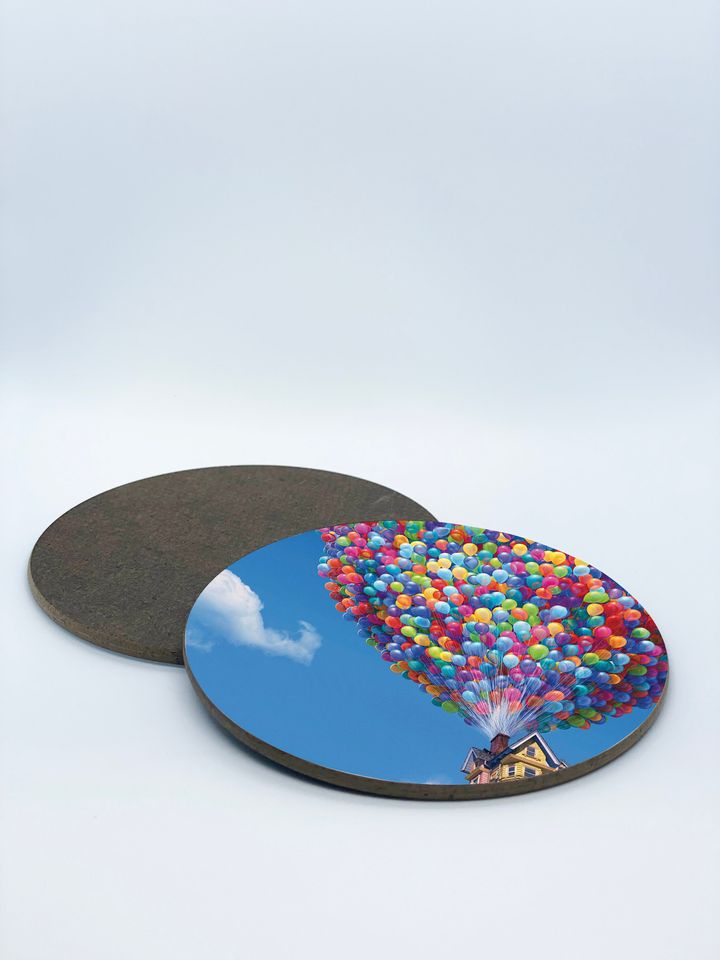 Disney Up, Adventure is Out There Coasters