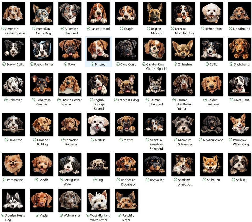 Personalized dog stocking, Disney Christmas Dog Breed Stocking