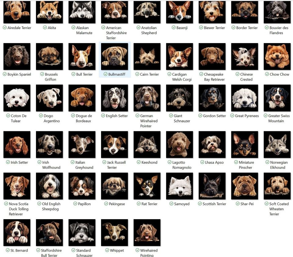 Personalized dog stocking, Disney Christmas Dog Breed Stocking