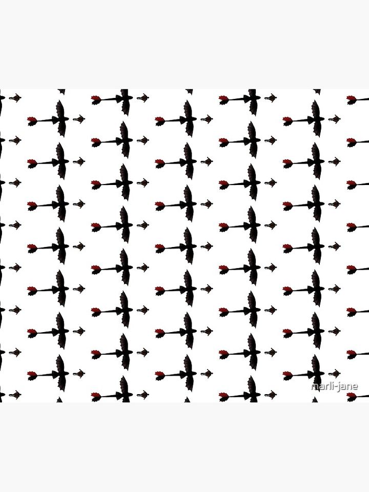 toothless and hiccup flying - how to train your dragon Throw Blanket