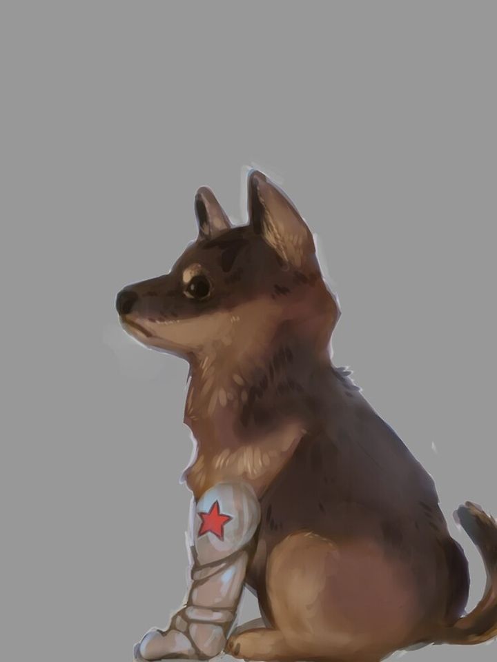 Winter Soldier iPhone Case