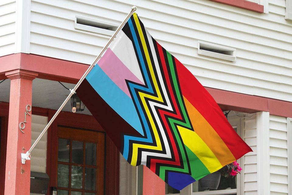 Disability Pride Month House Flag, Disability Support Flag, Disability Pride Flag, Disability Right, July Disabled Pride Awareness