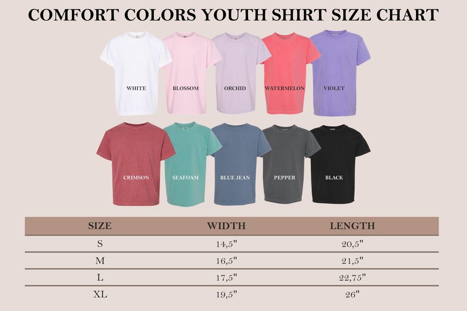 Disney Embroidered T-shirt