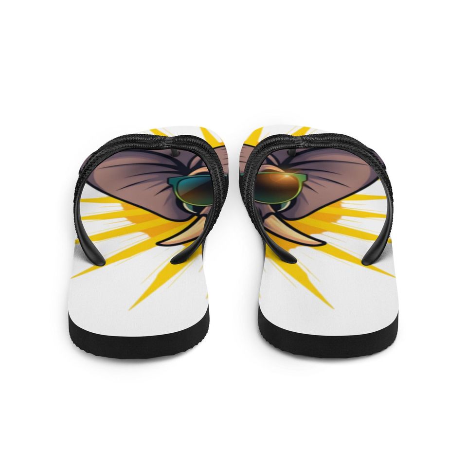 Discrete MAGA Flip-Flops
