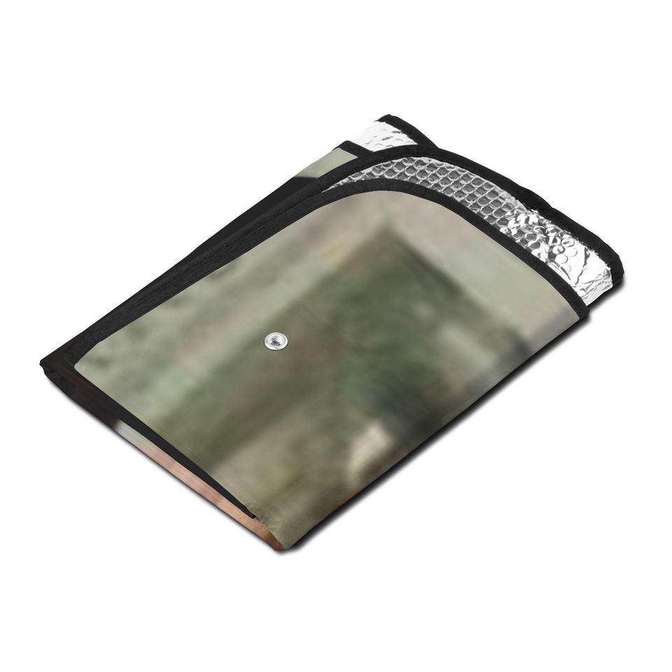 Twilight: The Volturi Car Sun Shades