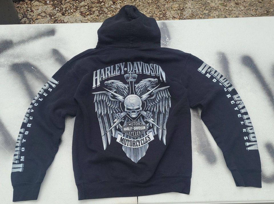 Vintage Haarleyy Davidson Wisconsin Hoodie