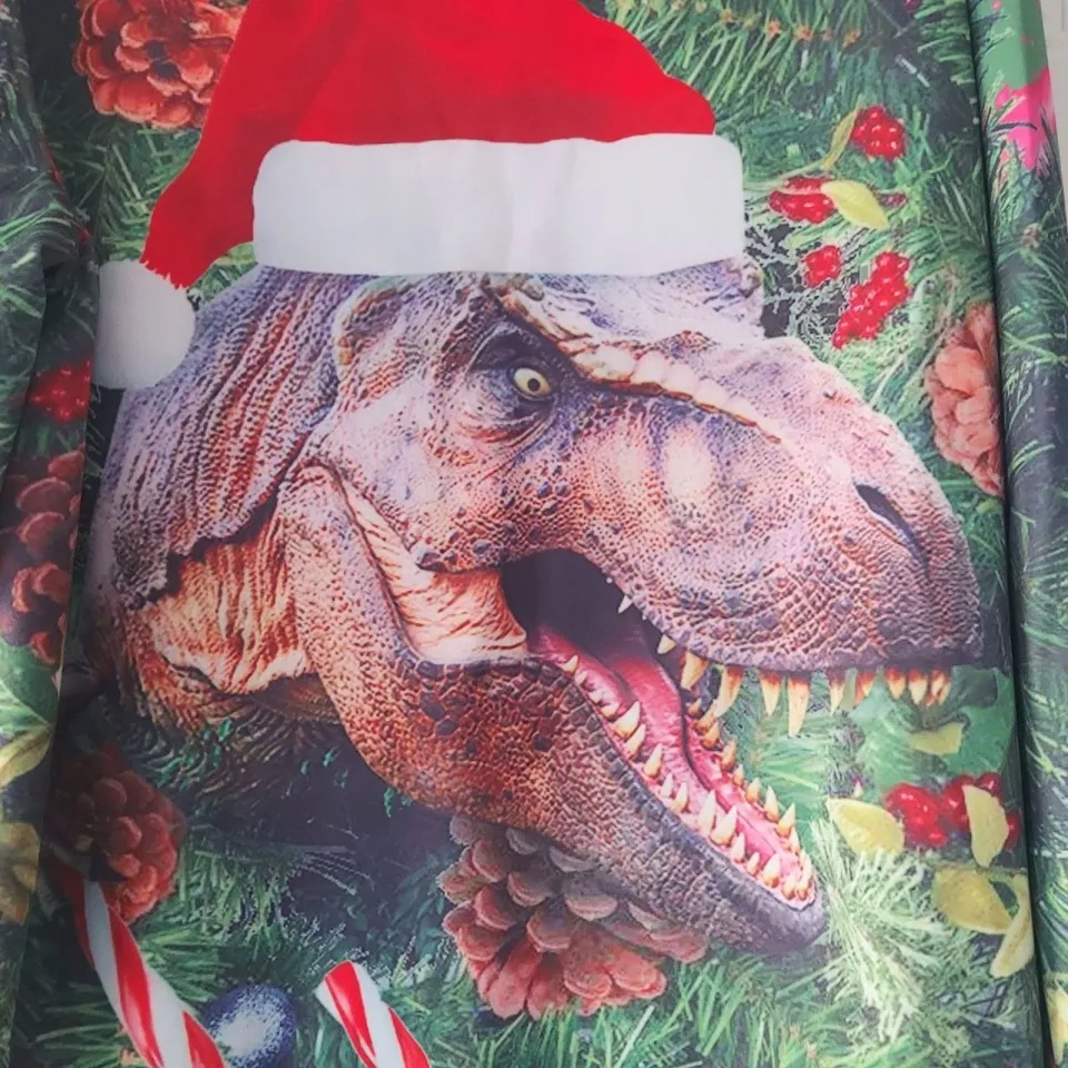 3D Print Ugly Christmas Pullover Santa Hat T-Rex Dinosaur Xmas Top