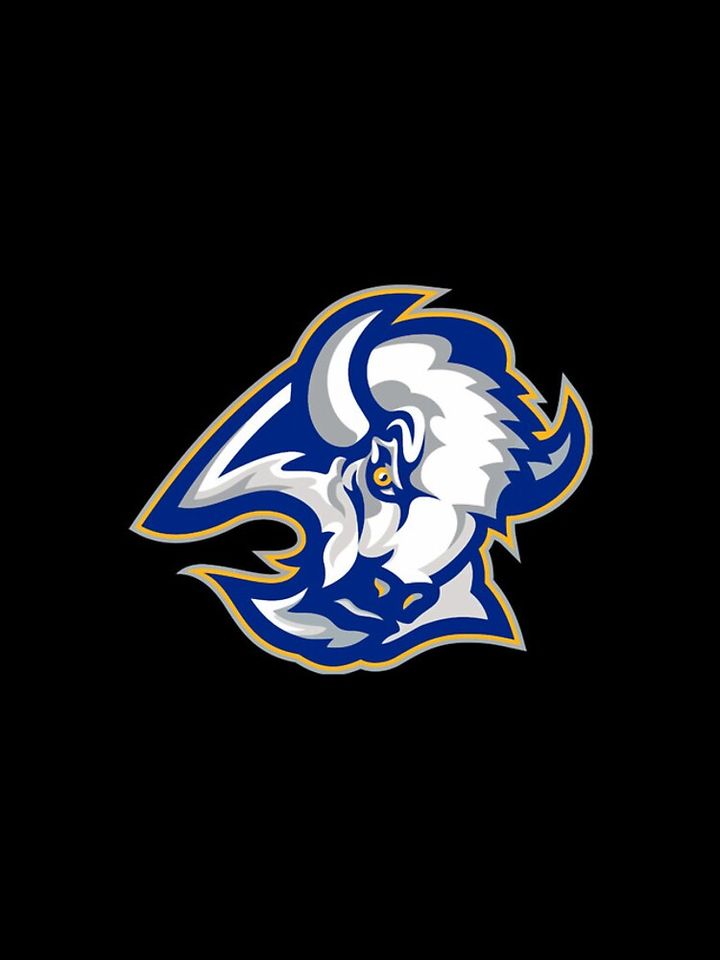 Buffalo Sabres iPhone Case, Gift For Fan