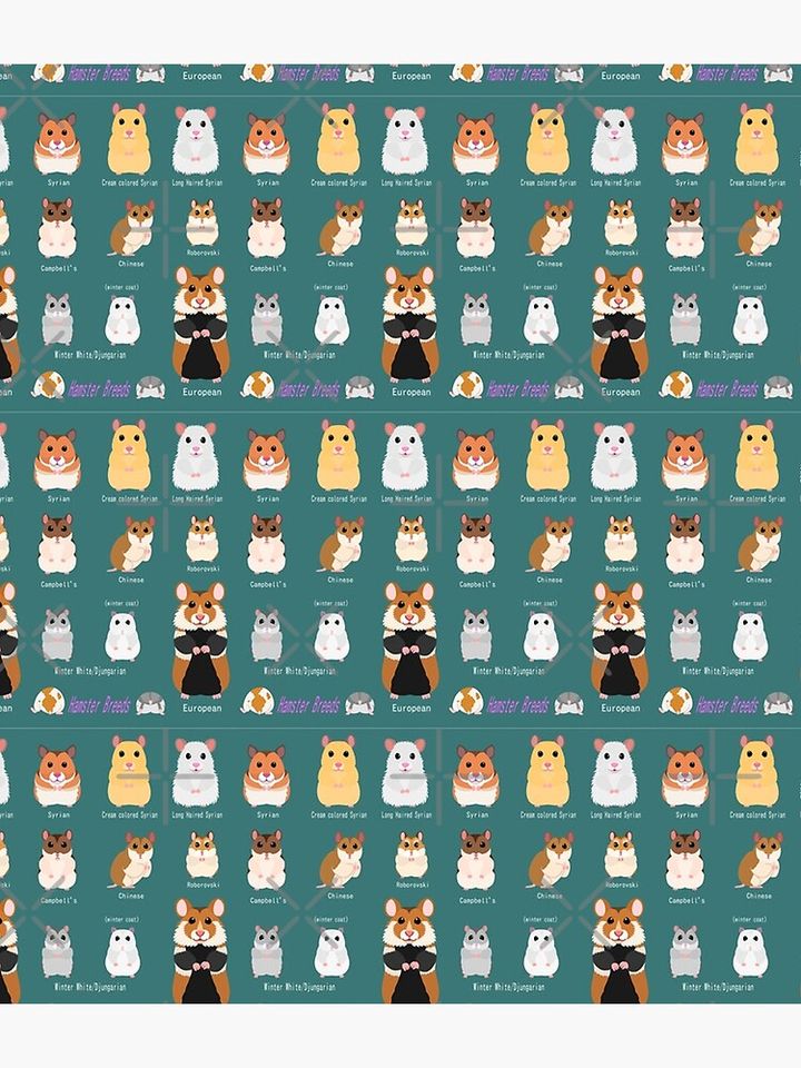 Hamster Breeds syrian hamster Backpack