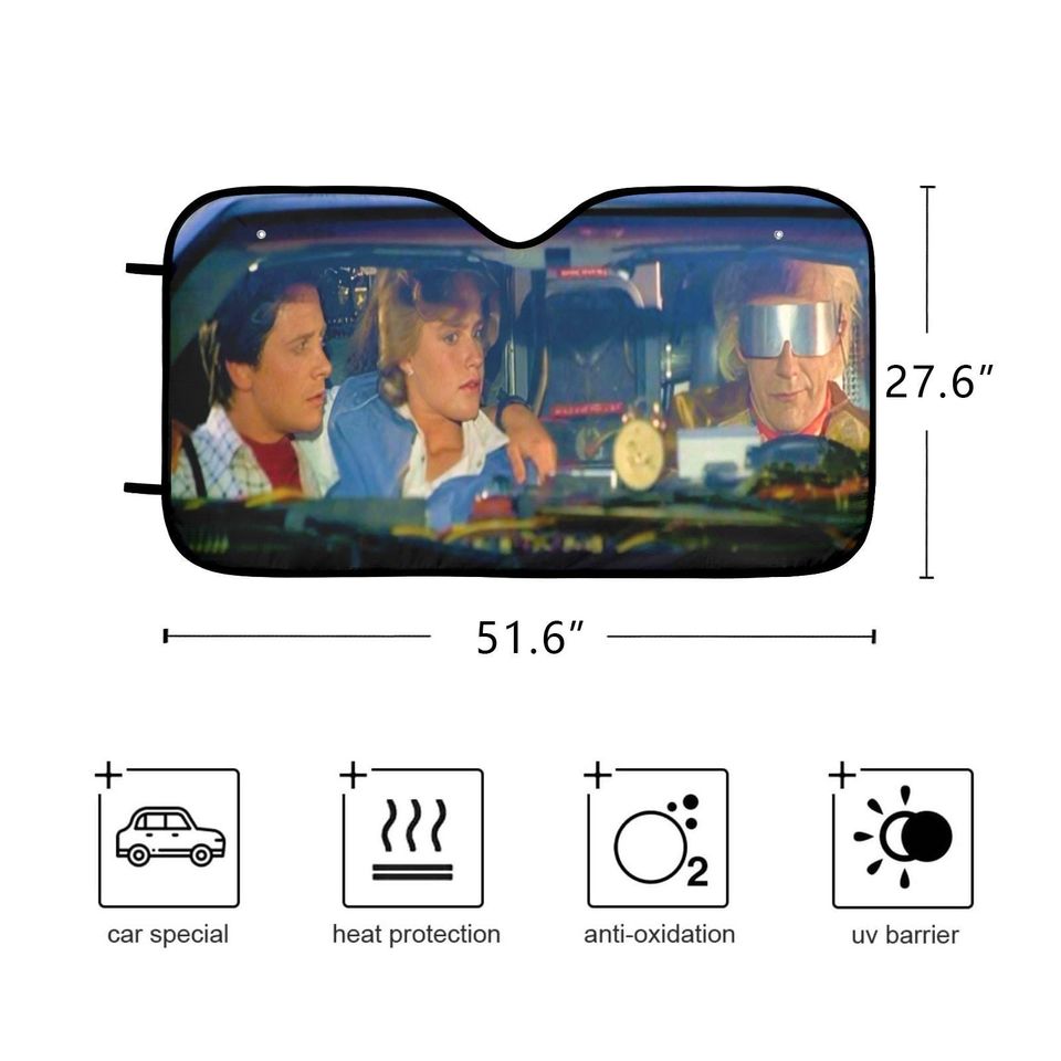 Back to the Future 2 Car Sun Shade