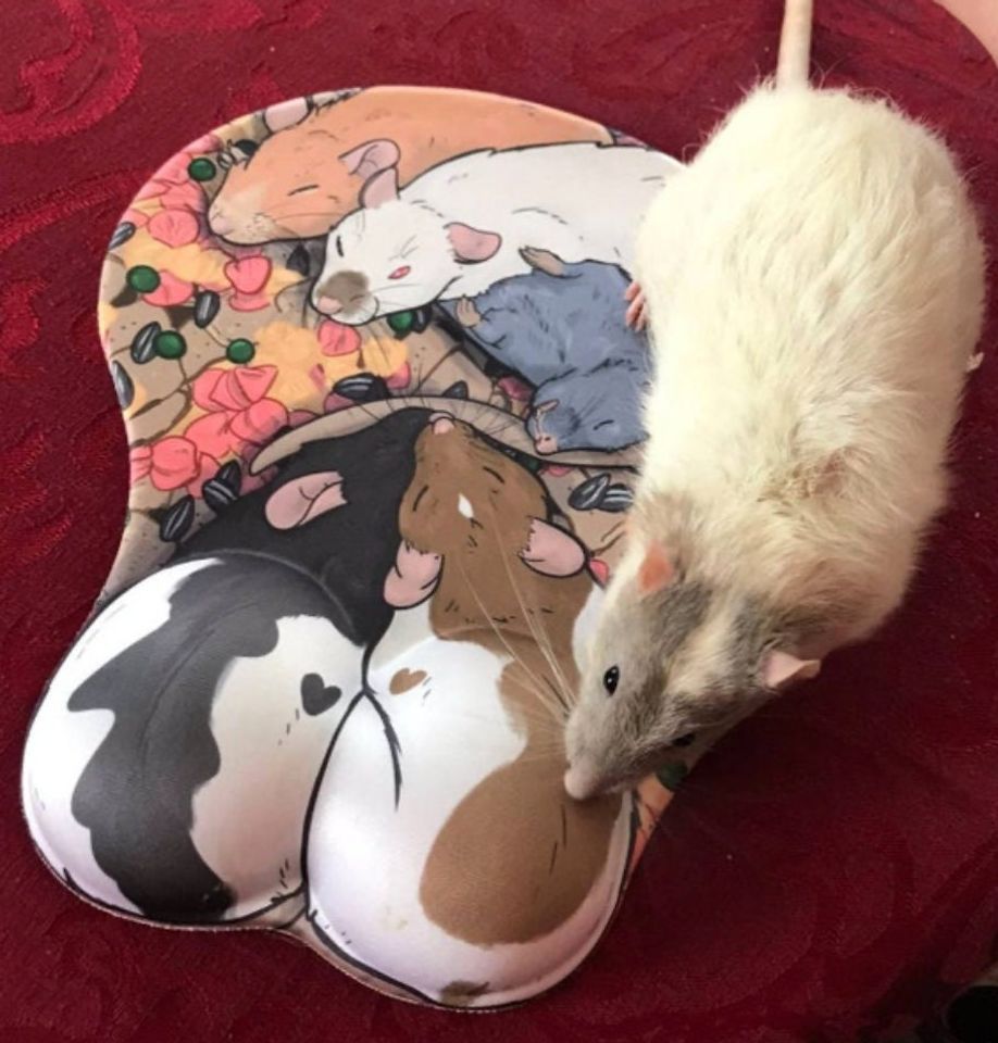 Rat Mousepad padded wrist Rest ergonomic Ratpad Rat Res