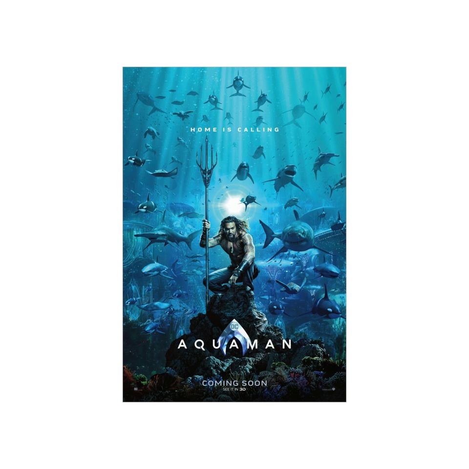 Aquaman Poster / Premium Matte vertical poster