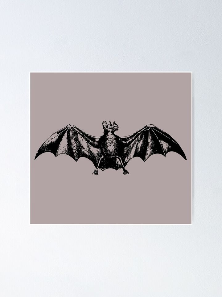 Vampire Bat Poster
