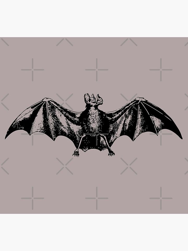 Vampire Bat Poster