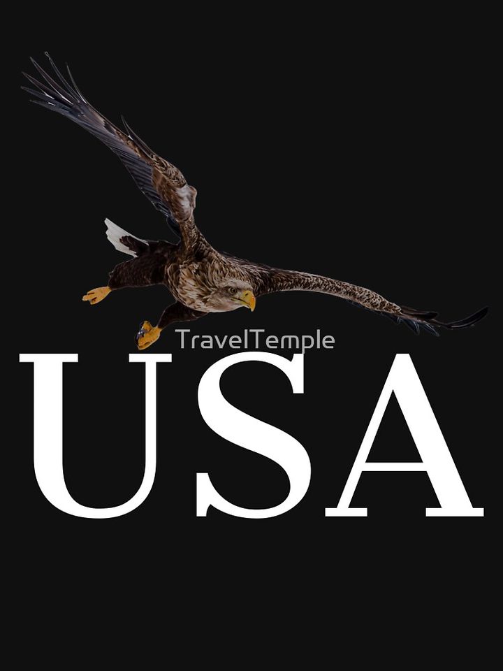 USA eagle Lightweight Hoodie