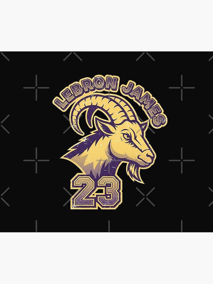 Lebron James Throw Blanket, Gift for Fan