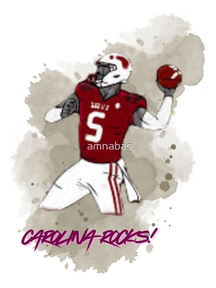 GAMECOCK T-Shirt, Gift for Fan