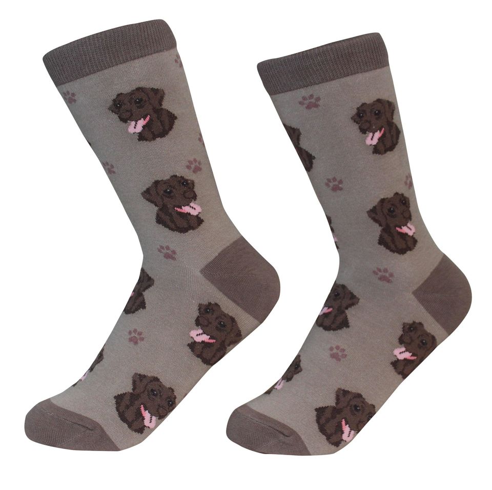 Chocolate Lab Dog Socks, Gift Ideas for Pet Lovers