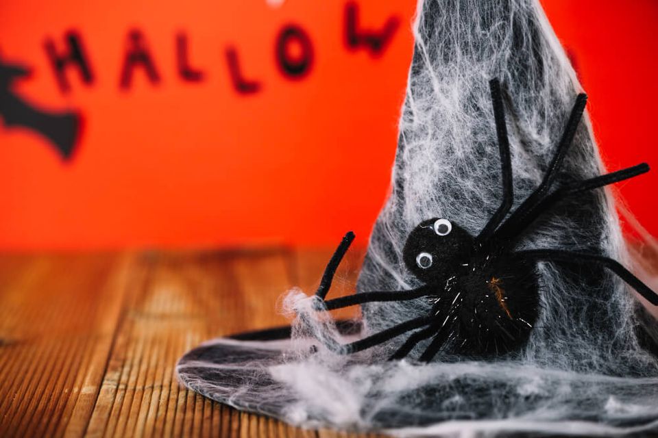 Spiders are associated with creep superstition