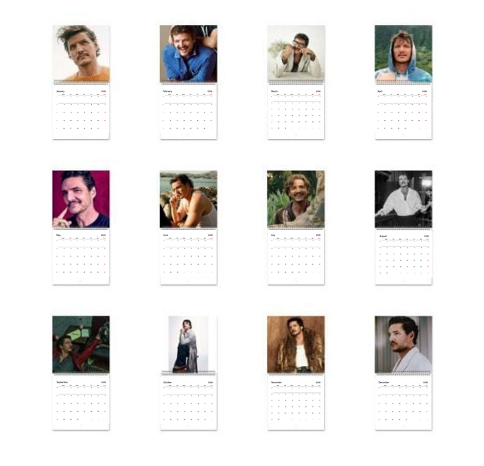 Pedro Pascal Calendar Vol.3 - 2026 Calendar, Wall Calendar 2025, Planner 2026, Pedro Pascal Gift