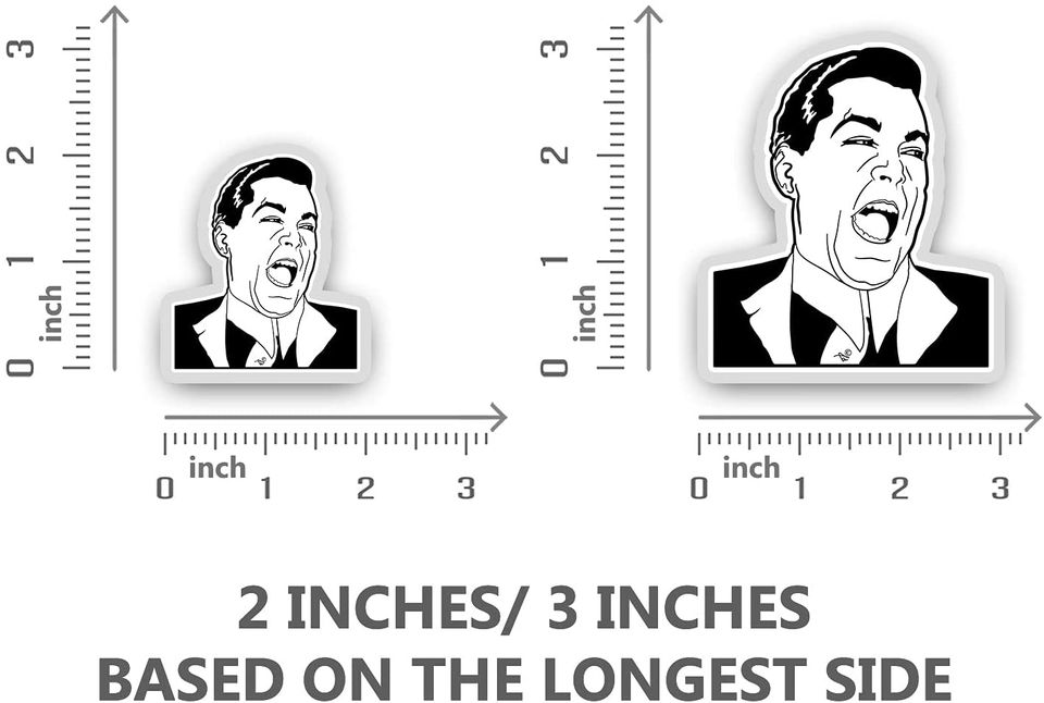 Goodfellas Ray Liotta Laugh Meme Sticker 2"