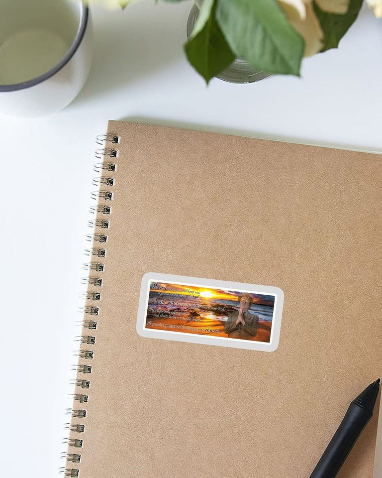 Check It Out! Dr. Steve Brule A Prayer from Dennis Dooley Sticker 3"